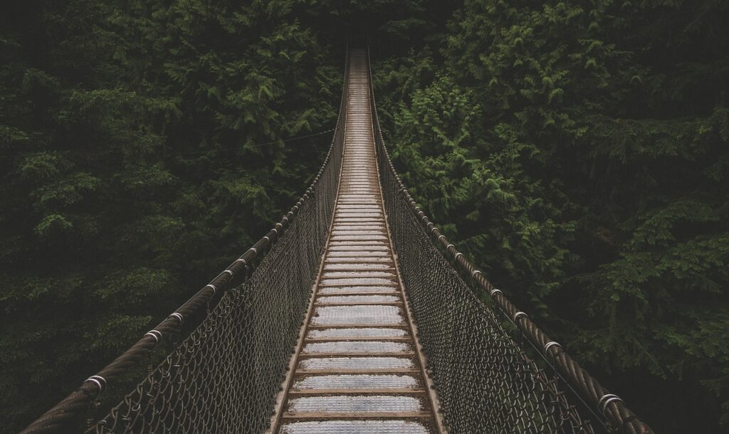 Suspension bridge