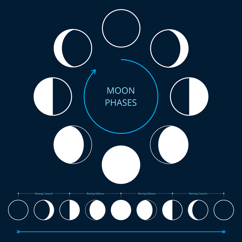 Moon Phases