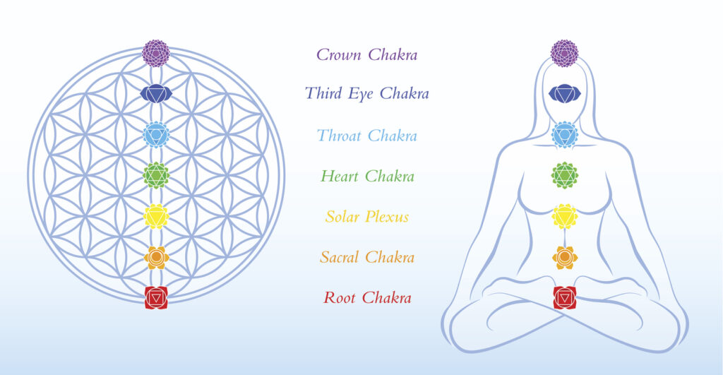 The 7 Chakras including the Third Eye Chakra