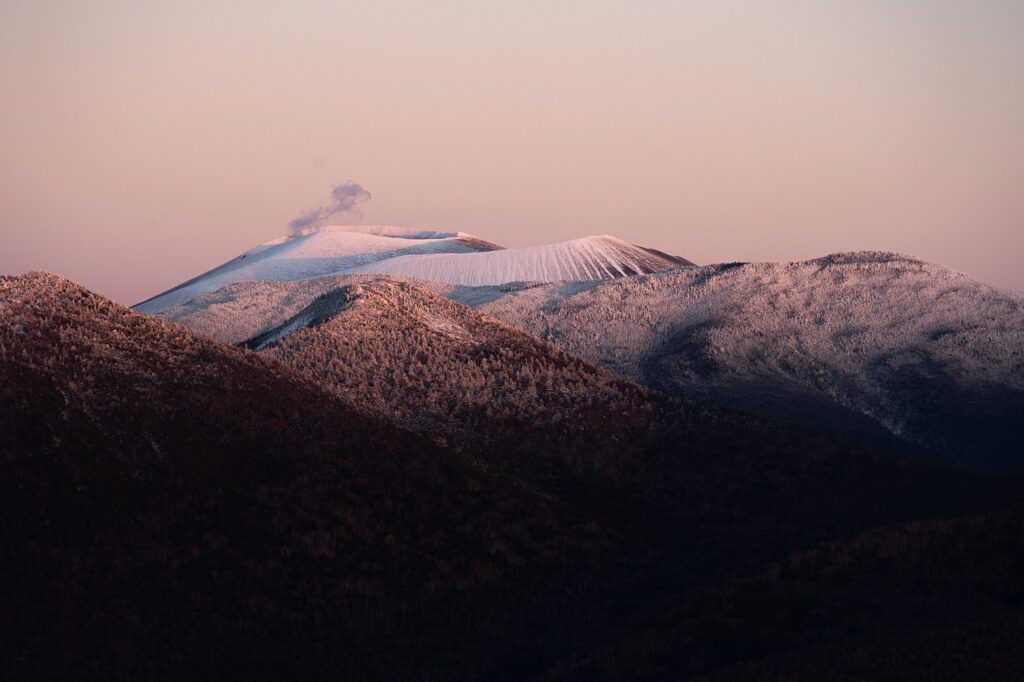 Mountain, bird image