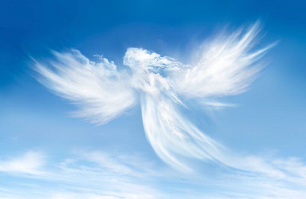 Angel or Muse