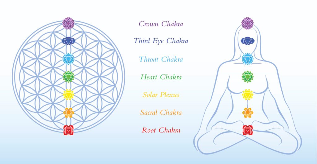 The 7 chakras